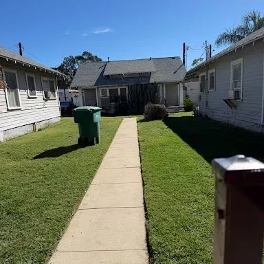 Green, freshly mowed lawn along the walkway after service