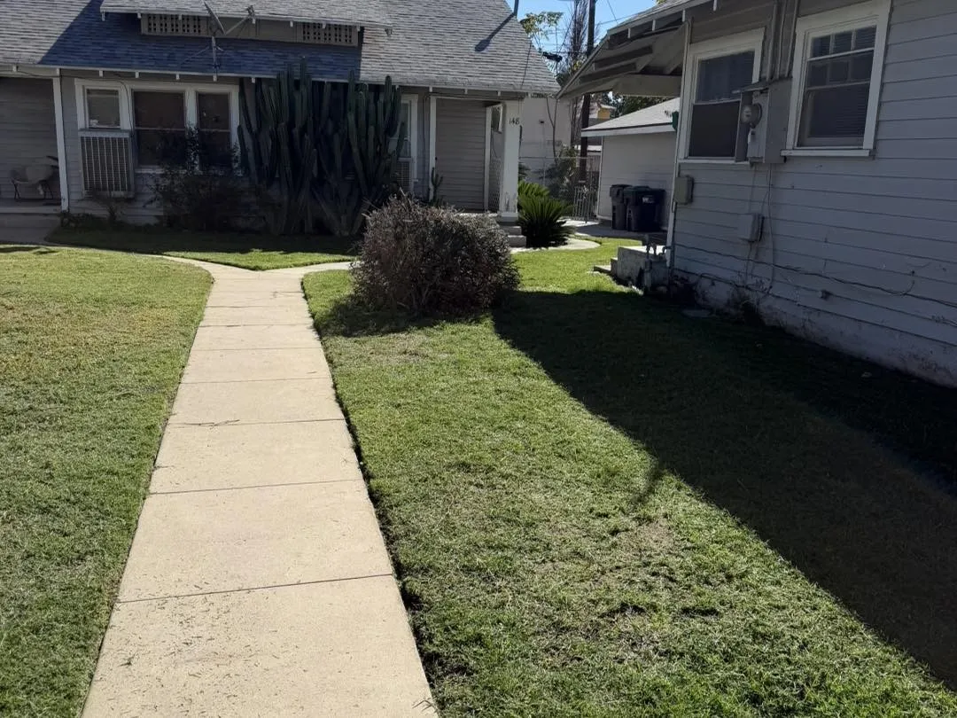 Mowed lawn along a concrete walkway