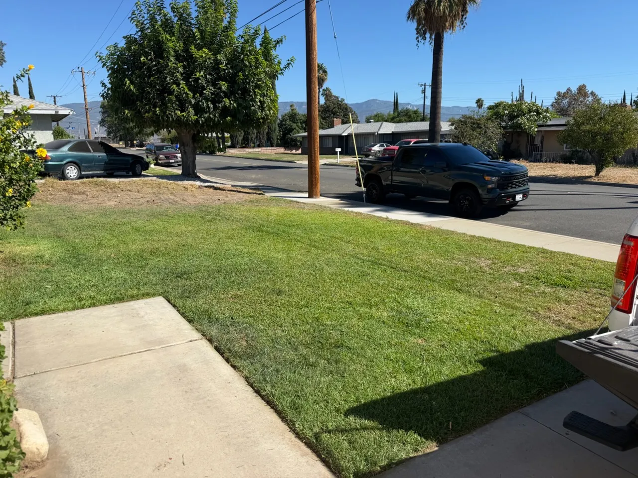 Freshly mowed, even front lawn along a sidewalk on a sunny street